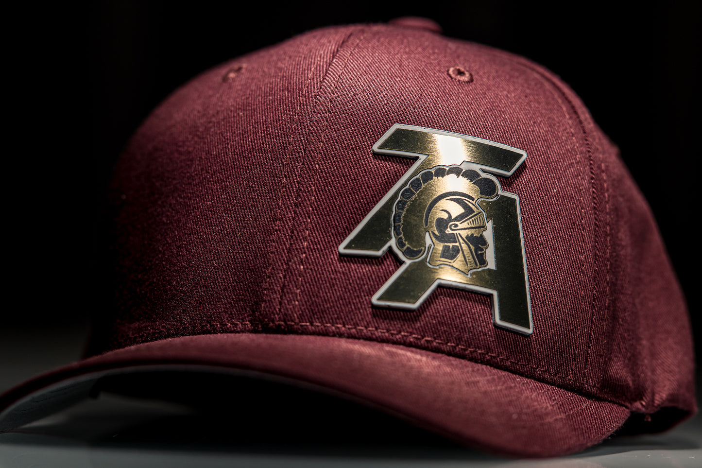 TA Logo (Gold/Black/White)