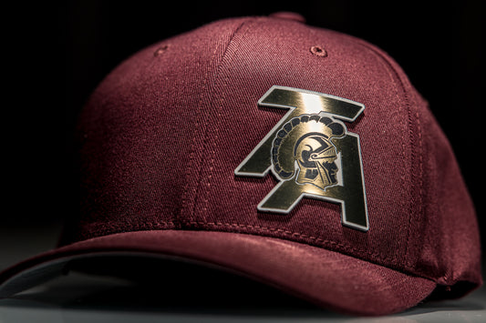 TA Logo (Gold/Black/White)